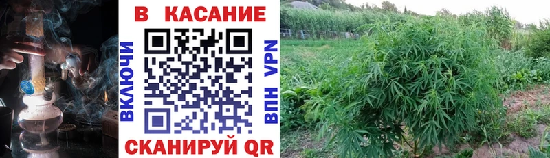 Купить Дмитров Конопля Кокаин Амфетамин Alpha-PVP Меф мяу мяу Гашиш