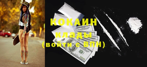 ГАЛЛЮЦИНОГЕННЫЕ ГРИБЫ Вязники