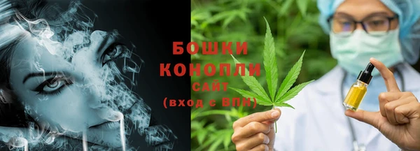 ГАЛЛЮЦИНОГЕННЫЕ ГРИБЫ Вязники
