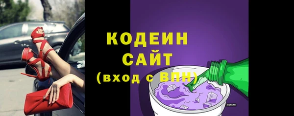 индика Горнозаводск