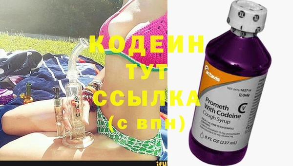 ГАЛЛЮЦИНОГЕННЫЕ ГРИБЫ Вязники