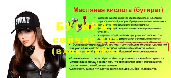 индика Горнозаводск