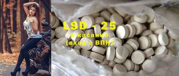 индика Горнозаводск