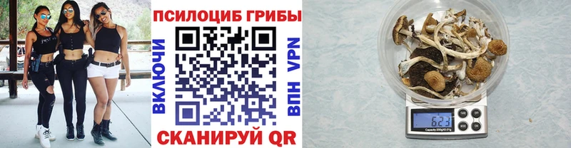 Псилоцибиновые грибы прущие грибы  продажа наркотиков  Дмитров 